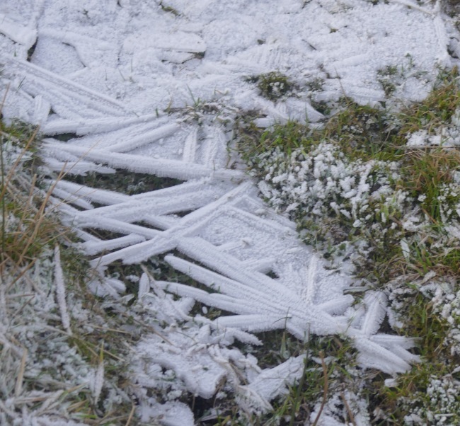 Frozen Grinton Moor