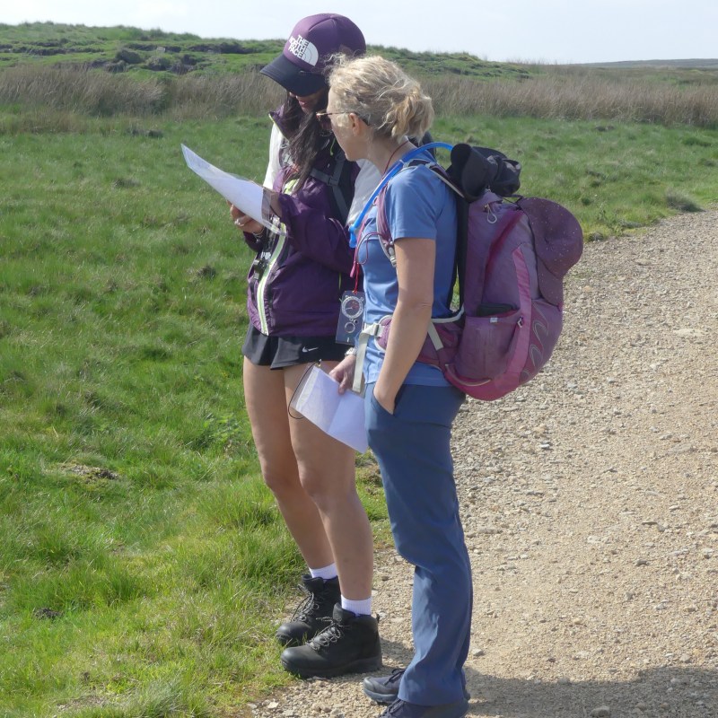 Grinton Moors, Near Leyburn