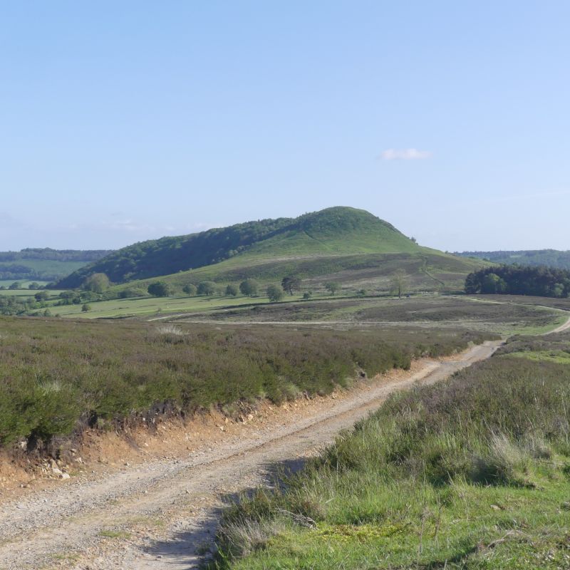 Hawnby Crag, North York Moors