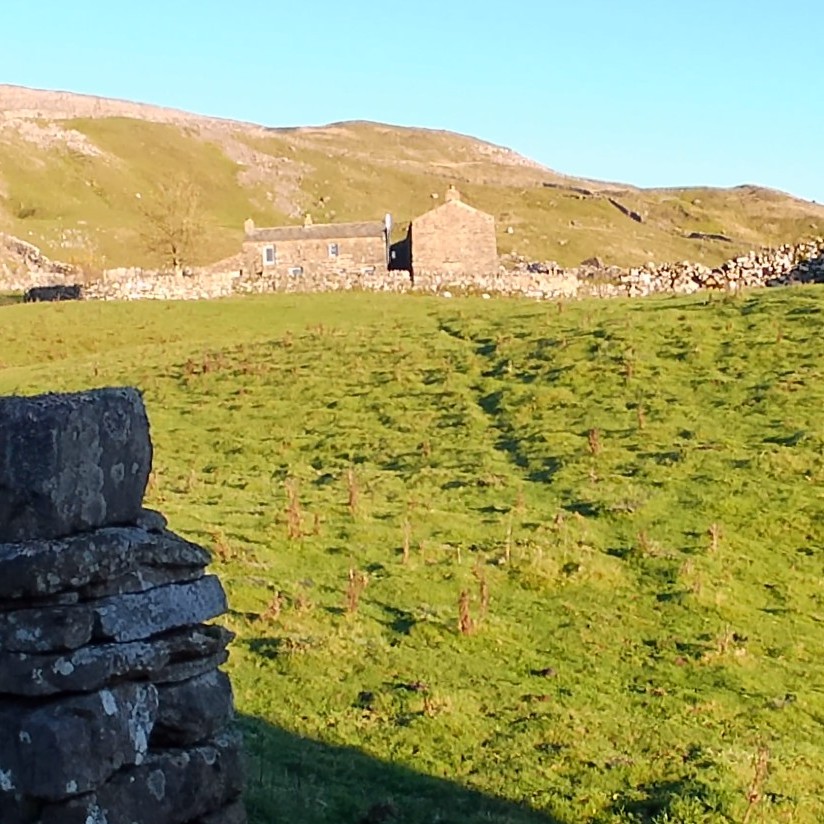 Limestone pasture, Gunnerside Gill