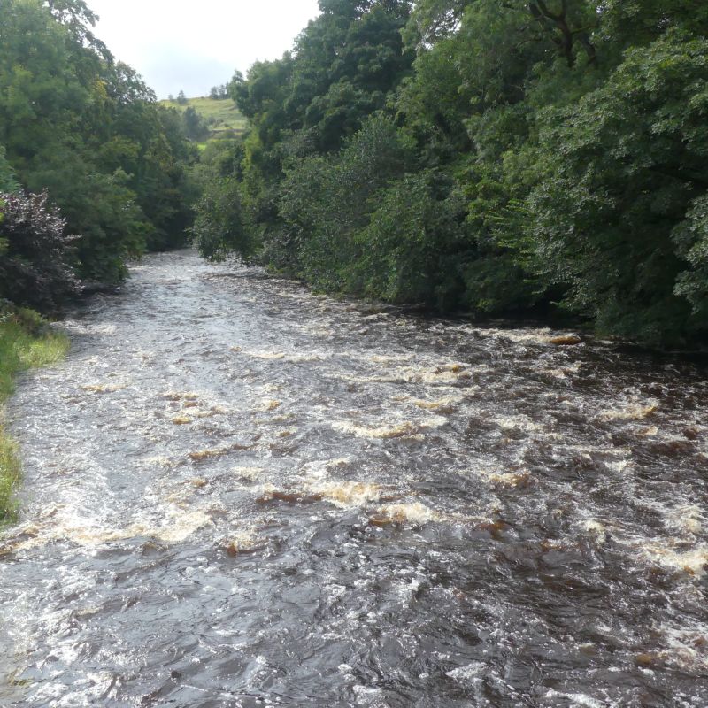 The River Ribble near to Stainforth