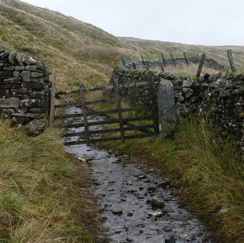 The lower slopes of Great Whernside