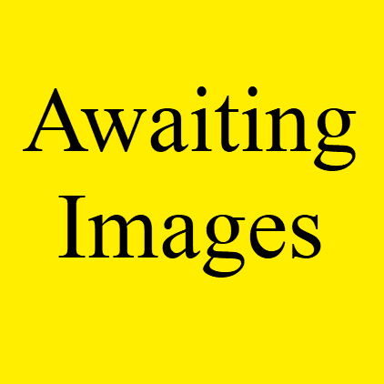 Awaiting images