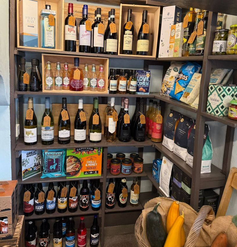 Wine and beer